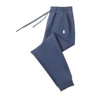 B2 (polyester)