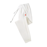 B6 (polyester)