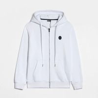 A11 (polyester)